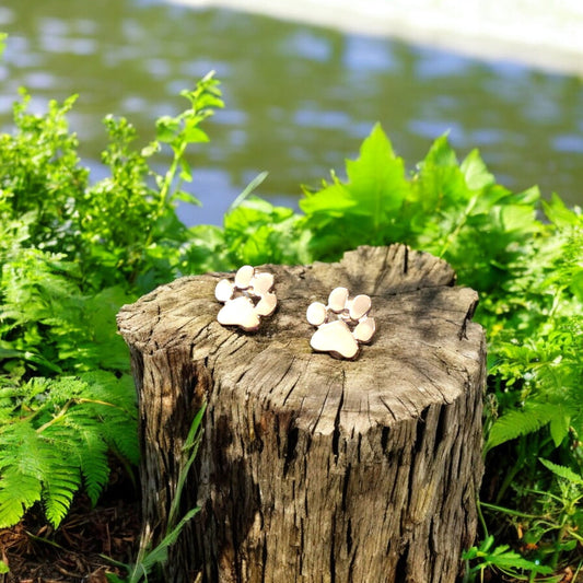 Hypoallergena tassörhängen i rostfritt stål