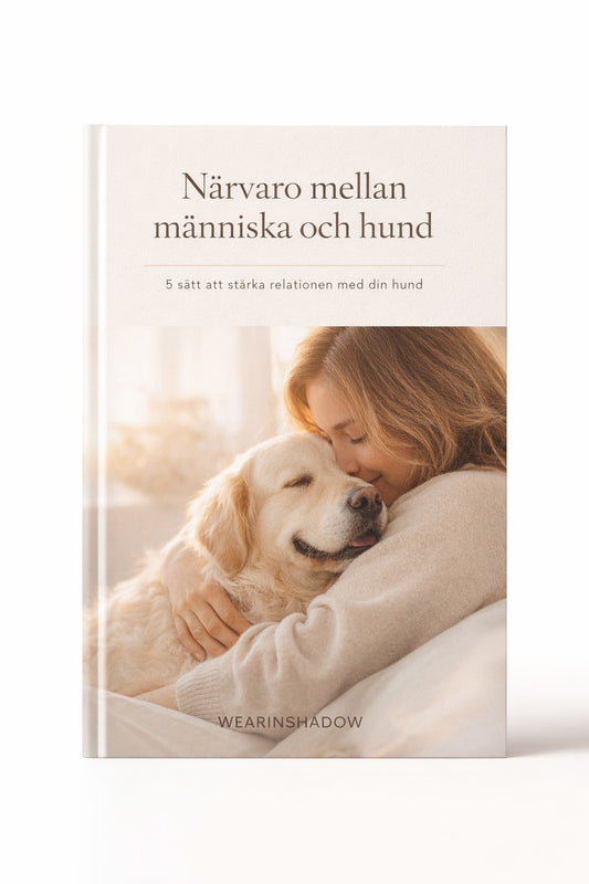 Närvaro mellan människa och hund – Digital guide